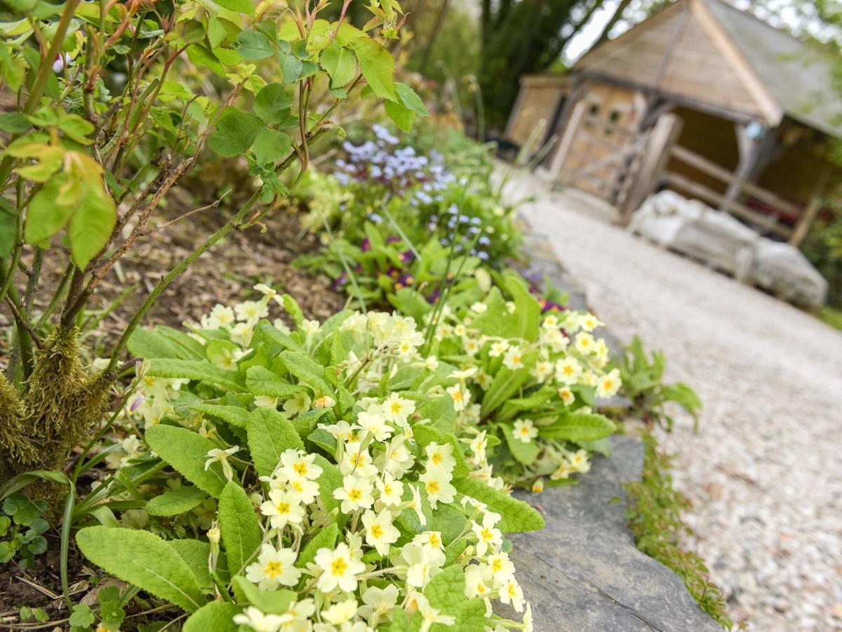 Mimi'S Cottage Liskeard Eksteriør billede